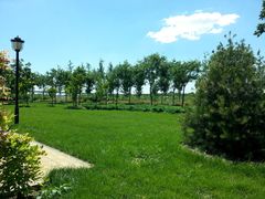 -永定河休闲森林公园