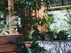 -植觉