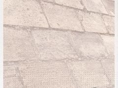 -上海佘山国家森林公园西佘山园