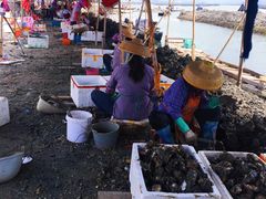 景观位-蚝乡农庄(铁涌赤岸店)