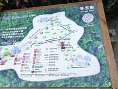 -野象谷景区