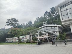-王借岗森林公园