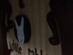 -白兔子密室(长寿路店)