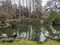 -杭州植物园