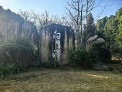 -白鹭湾湿地公园