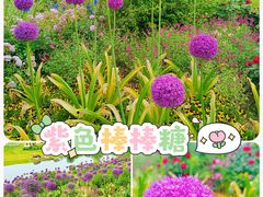 -上海辰山植物园