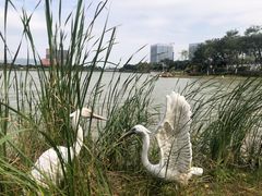 -琅岐红光湖公园