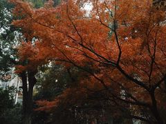-浙江大学(玉泉校区)