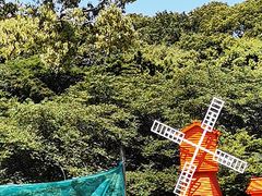 -苏州上方山国家森林公园