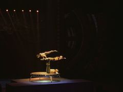 -珠海横琴长隆《卡卡虎奇遇记》