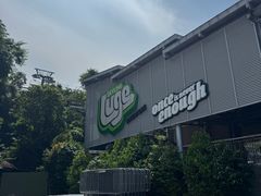 -圣淘沙天际线斜坡滑车