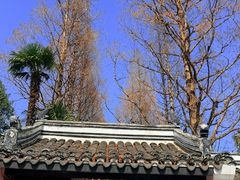 -包公祠