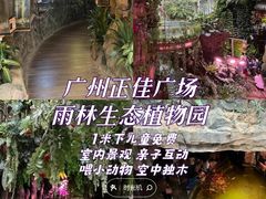 -正佳雨林生态植物园