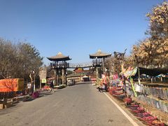 -呀路古热带植物园