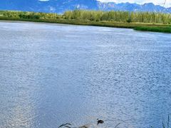 -野鸭湖国家湿地公园