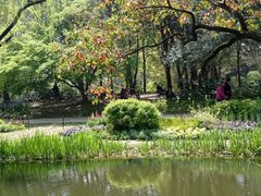 -上海共青森林公园