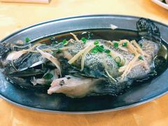 -板桥海鲜广场(文明东店)