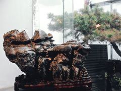 -苏州园林博物馆