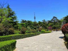 -青岛中山公园-索道售票处