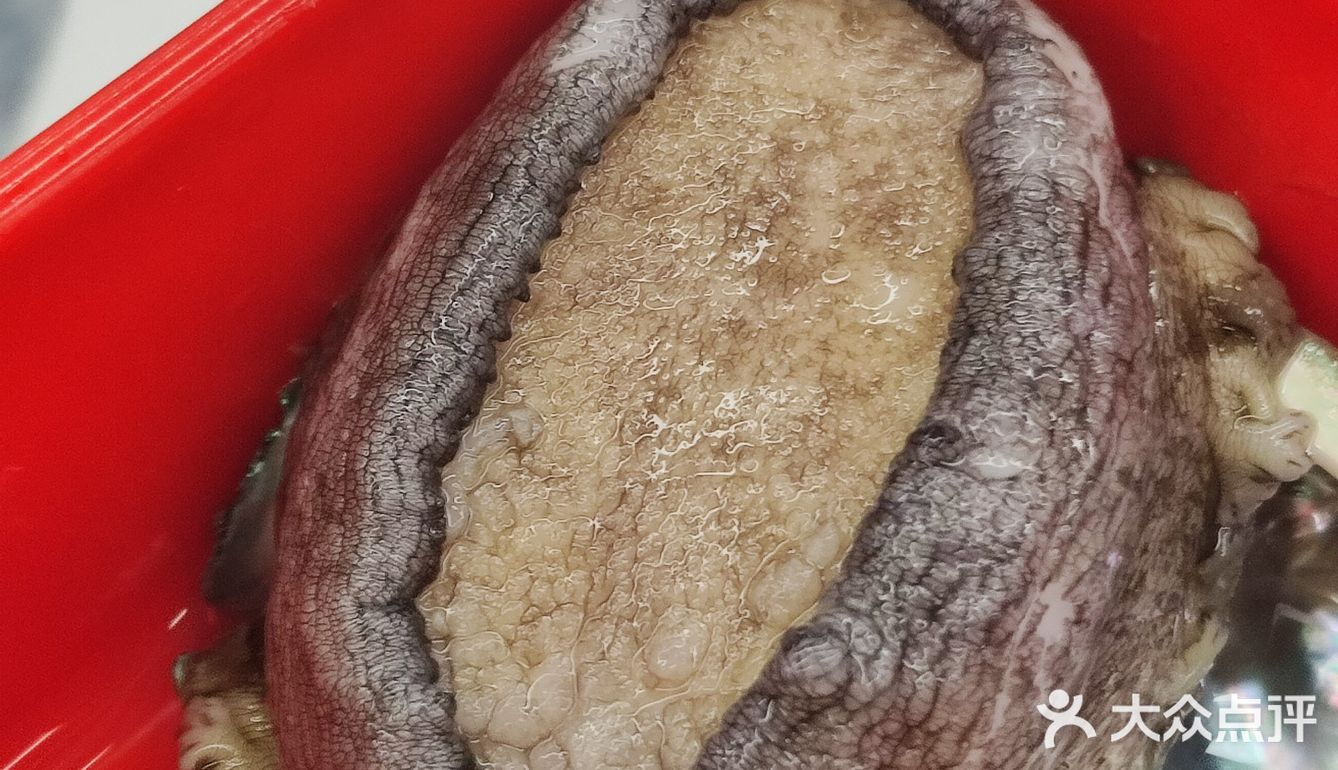 你敢相信吗？买单只要1.32元！