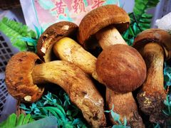 -佳缘野生菌食府