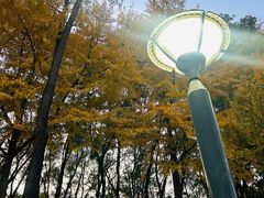 -玲珑塔公园