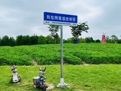 -同里国家湿地公园