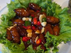 -拾柴熏酱-鲜虾水饺(群力店)