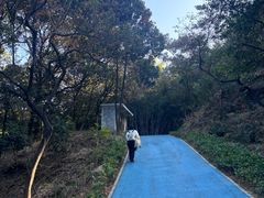 -黄埔油麻山森林公园
