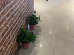 -额尔敦传统涮(光明路店)