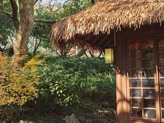 -中国茶叶博物馆(双峰馆区)