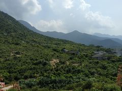 -杨梅坑