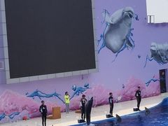 -北戴河圣蓝海洋公园