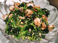 -丽苑大酒店
