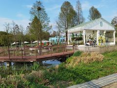 -同里国家湿地公园