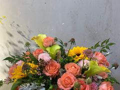 -溪岸路花鸟市场