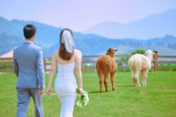 -金夫人婚纱摄影