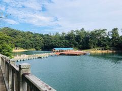 -广州市流溪河国家森林公园
