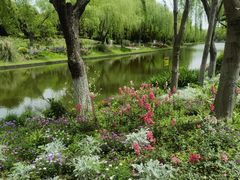 -上海鲜花港
