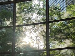 -Plush大堂酒廊(北京金融街威斯汀大酒店)