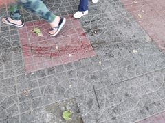 -秦镇史玉林凉皮(翡丽城店)
