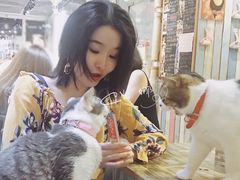 -小时光咖啡馆(开森度假森林店)