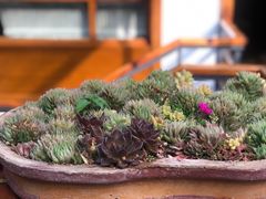 -广益饭店(翠湖公园北门街店)