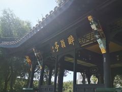-东北农业大学