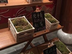 -丽江金茂凯悦臻选酒店-滇香馆