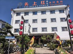 -头上红煨盐鸡乡村食府