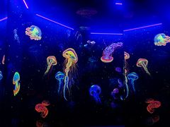 -成都浩海立方海洋公园