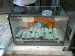-西树泡芙(湖滨银泰in77B区店)