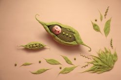 -如意宝贝儿童摄影室