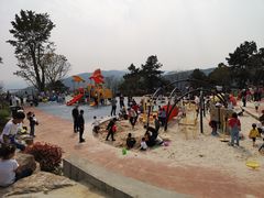 -铁山坪森林公园